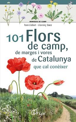 101 FLORS DE CAMP, DE MARGES I VORES DE CATALUNYA | 9788490348413 | LLOBET FRANÇOIS , TONI/SÀEZ GOÑALONS , LLORENÇ | Llibreria L'Illa - Llibreria Online de Mollet - Comprar llibres online