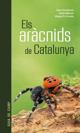 ARÀCNIDS DE CATALUNYA, ELS | 9788418096686 | DOMÈNECH ANDREU, MARC/BELLVERT BANTÍ, ADRIÀ/ARNEDO LOMBARTE, MIQUEL ÀNGEL