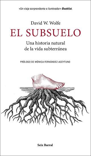 SUBSUELO, EL | 9788432235603 | WOLFE, DAVID W.