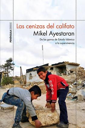 CENIZAS DEL CALIFATO, LAS | 9788499427065 | AYESTARAN, MIKEL | Llibreria L'Illa - Llibreria Online de Mollet - Comprar llibres online