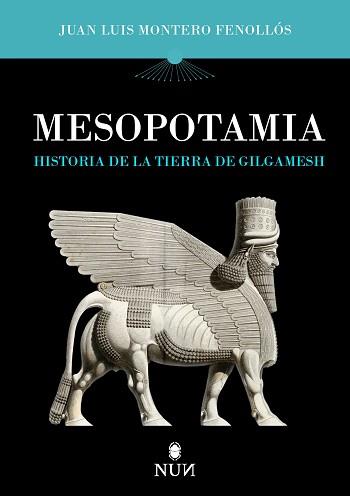 MESOPOTAMIA | 9788410199316 | JUAN LUIS MONTERO FENOLLÓS | Llibreria L'Illa - Llibreria Online de Mollet - Comprar llibres online