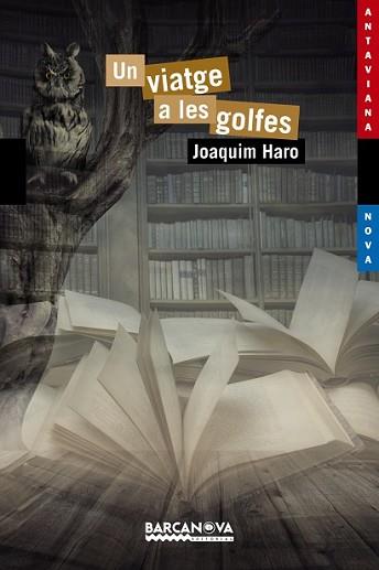 VIATGE A LES GOLFES, UN | 9788448938598 | HARO, JOAQUIM