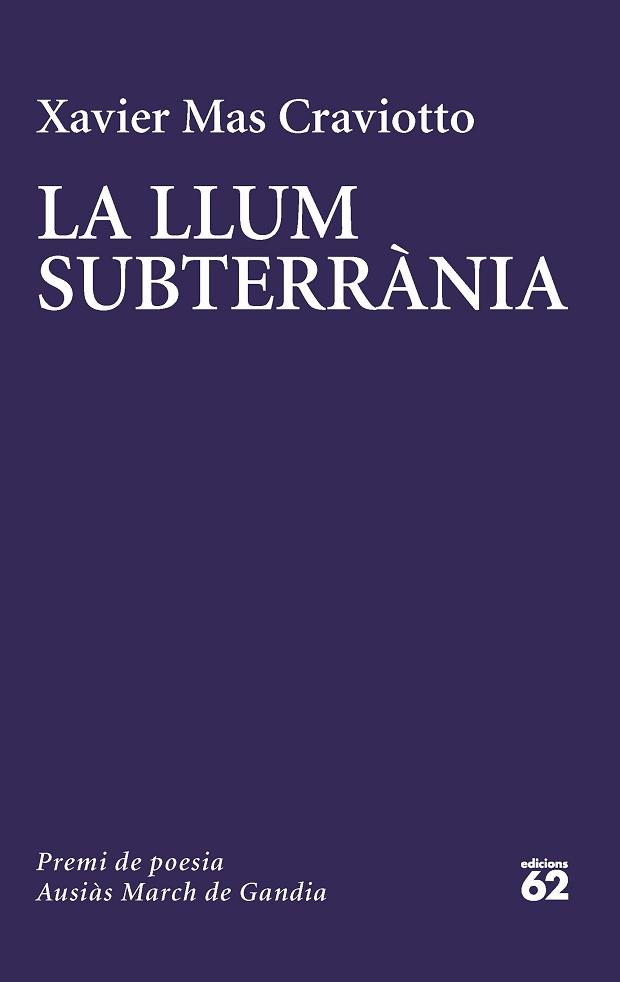 LLUM SUBTERRÀNIA, LA | 9788429780741 | MAS CRAVIOTTO, XAVIER