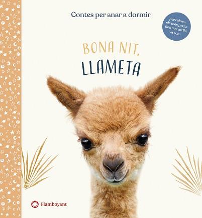 BONA NIT LLAMETA | 9788417749958 | WOOD, AMANDA | Llibreria L'Illa - Llibreria Online de Mollet - Comprar llibres online