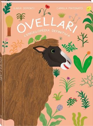 OVELLARI | 9788419913005 | ILARIA, DEMONTI | Llibreria L'Illa - Llibreria Online de Mollet - Comprar llibres online