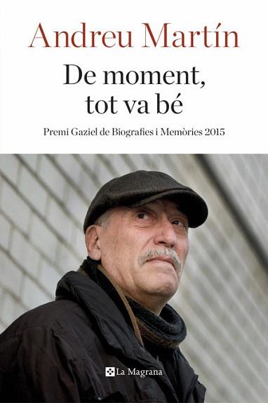 DE MOMENT, TOT VA BÉ (PREMI GAZIEL) | 9788482648040 | MARTIN, ANDREU