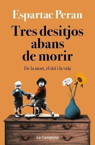 TRES DESITJOS ABANS DE MORIR | 9788418226731 | PERAN, ESPARTAC | Llibreria L'Illa - Llibreria Online de Mollet - Comprar llibres online