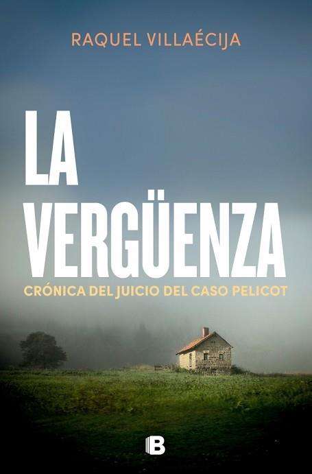 VERGÜENZA, LA | 9788466683029 | VILLAECIJA, RAQUEL | Llibreria L'Illa - Llibreria Online de Mollet - Comprar llibres online
