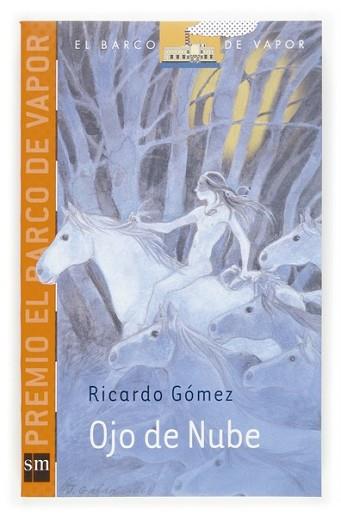 OJO DE NUBE | 9788467510263 | GOMEZ GIL, RICARDO | Llibreria L'Illa - Llibreria Online de Mollet - Comprar llibres online