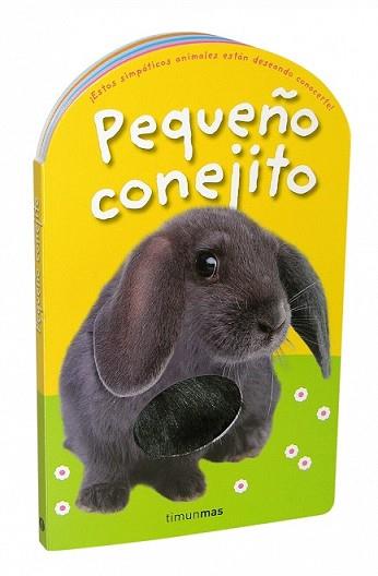 PEQUEÑO CONEJITO | 9788408084907 | PRIDDY BOOKS