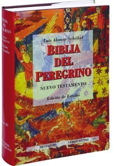 BIBLIA DEL PEREGRINO, LA | 9788481690897 | SCHOEL, LUIS ALONSO