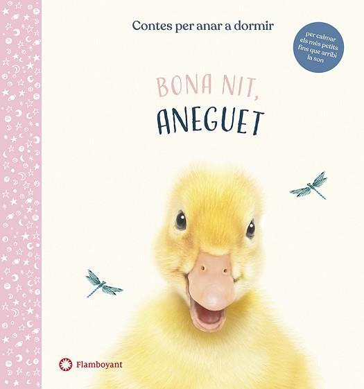 BONA NIT ANEGUET | 9788417749637 | WOOD, AMANDA | Llibreria L'Illa - Llibreria Online de Mollet - Comprar llibres online