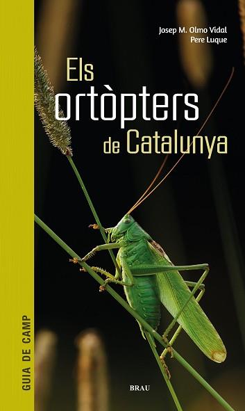 ORTÒPTERS DE CATALUNYA, ELS | 9788418096266 | OLMO VIDAL, JOSEP M/LUQUE PINO, PERE