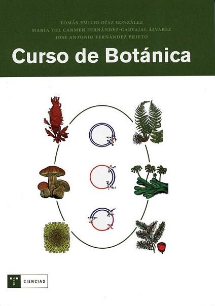 CURSO DE BOTÁNICA | 9788497041133 | DÍAZ GONZÁLEZ, TOMÁS EMILIO/FERNÁNDEZ-CARVAJAL ÁLVAREZ, Mª CARMEN/FERNÁNDEZ PRIETO, JOSÉ A. | Llibreria L'Illa - Llibreria Online de Mollet - Comprar llibres online