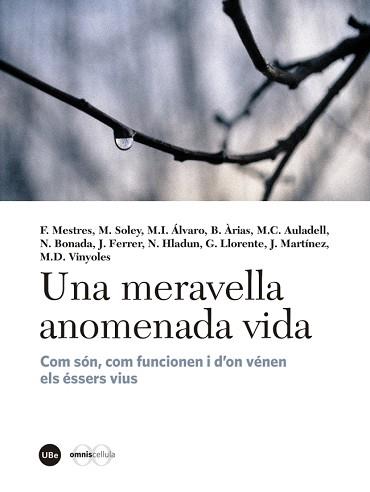MERAVELLA ANOMENADA VIDA, UNA | 9788447540310 | VARIOS AUTORES