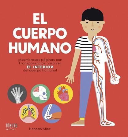 CUERPO HUMANO, EL | 9788414022092 | NOSY CROW | Llibreria L'Illa - Llibreria Online de Mollet - Comprar llibres online