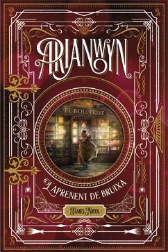 ARIANWYN 1. L'APRENENT DE BRUIXA | 9788424658694 | NICOL, JAMES | Llibreria L'Illa - Llibreria Online de Mollet - Comprar llibres online
