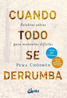 CUANDO TODO SE DERRUMBA | 9788411082341 | CHÖDRÖN, PEMA