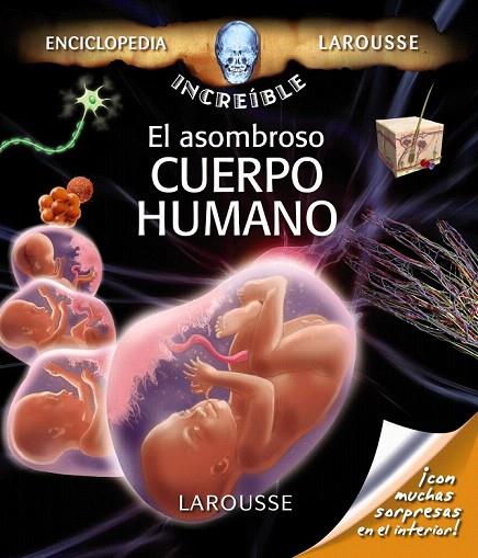 CUERPO HUMANO, EL | 9788480169400 | Llibreria L'Illa - Llibreria Online de Mollet - Comprar llibres online