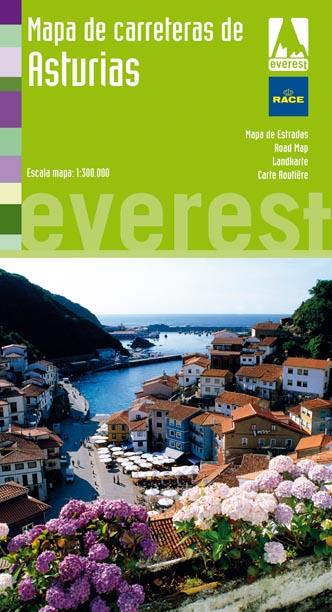 ASTURIAS | 9788444131009 | CARTOGRAFÍA EVEREST | Llibreria L'Illa - Llibreria Online de Mollet - Comprar llibres online