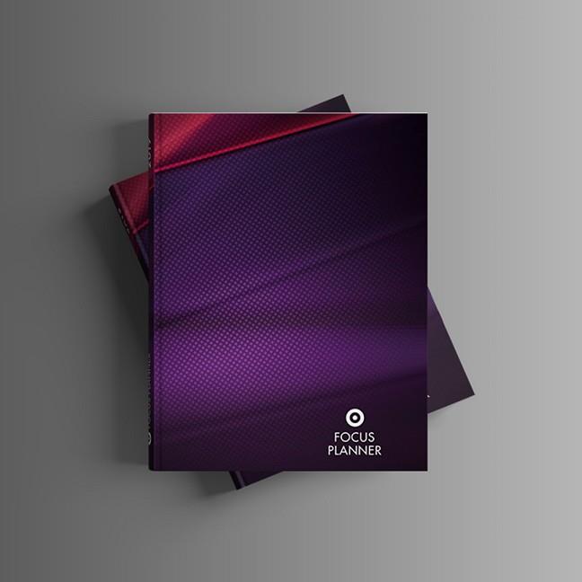 FOCUS PLANNER AERO | 9788494797743 | VICEDO MENDIOLA, JOSÉ MARÍA/GUILLÓ VERGARA, MIGUEL ÁNGEL