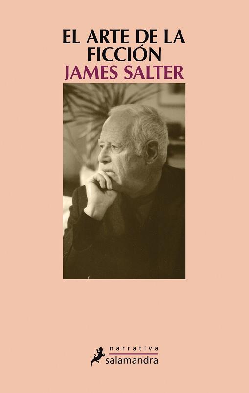 ARTE DE LA FICCIÓN, EL | 9788498388442 | SALTER, JAMES