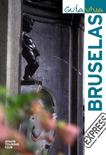 BRUSELAS | 9788497768627 | AA.VV.