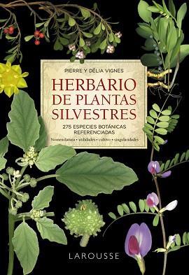 HERBARIO DE PLANTAS SILVESTRES | 9788418473999 | VIGNES, PIERRE/VIGNES, DÉLIA | Llibreria L'Illa - Llibreria Online de Mollet - Comprar llibres online