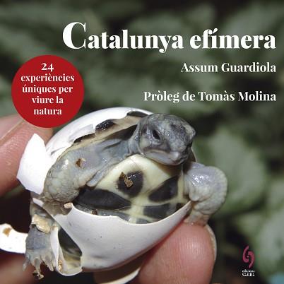 CATALUNYA EFÍMERA | 9788494928147 | GUARDIOLA, ASSUM | Llibreria L'Illa - Llibreria Online de Mollet - Comprar llibres online