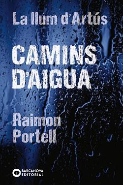 CAMINS D'AIGUA | 9788448942144 | PORTELL, RAIMON | Llibreria L'Illa - Llibreria Online de Mollet - Comprar llibres online