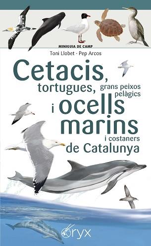 CETACIS TORTUGUES GRANS PEIXOS PELÀGICS I OCELLS MARINS DE CATALUNYA | 9788490349441 | LLOBET FRANÇOIS , TONI/ARCOS XX, PEP