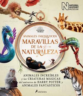 ANIMALES FANTÁSTICOS: MARAVILLAS DE LA NATURALEZA | 9788418637056 | THE NATIONAL HISTORY MUSEUM, | Llibreria L'Illa - Llibreria Online de Mollet - Comprar llibres online