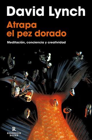 ATRAPA EL PEZ DORADO | 9788418897436 | LYNCH, DAVID | Llibreria L'Illa - Llibreria Online de Mollet - Comprar llibres online