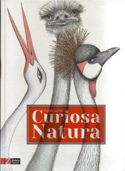CURIOSA NATURA | 9788494713538 | GUIRAUD, FLORENCE | Llibreria L'Illa - Llibreria Online de Mollet - Comprar llibres online