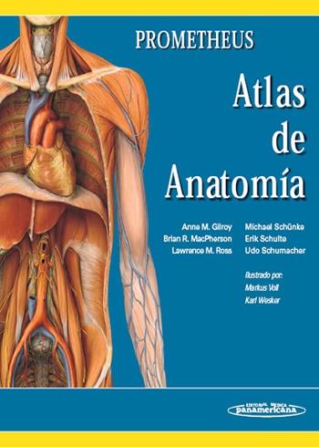 ATLAS DE ANATOMIA | 9788479036003 | V.V.A.A.