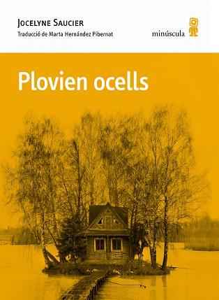 PLOVIEN OCELLS | 9788412662092 | SAUCIER, JOCELYNE | Llibreria L'Illa - Llibreria Online de Mollet - Comprar llibres online