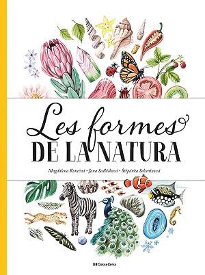 FORMES DE LA NATURA, LES | 9788413560434 | SEDLACKOVA, JANA/SEKANINOVA, STEPANKA | Llibreria L'Illa - Llibreria Online de Mollet - Comprar llibres online