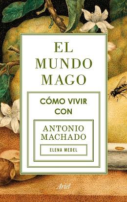 MUNDO MAGO, EL | 9788434422353 | MEDEL, ELENA | Llibreria L'Illa - Llibreria Online de Mollet - Comprar llibres online