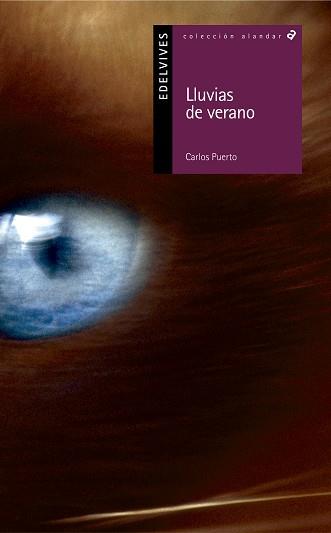 LLUVIAS DE VERANO (NO TOQUES AL GATO SIN GUANTES) | 9788426355447 | PUERTO, CARLOS (1942- ) | Llibreria L'Illa - Llibreria Online de Mollet - Comprar llibres online