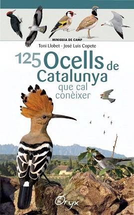 125 OCELLS DE CATALUNYA | 9788490346747 | LLOBET FRANÇOIS, TONI/COPETE, JOSÉ LUIS | Llibreria L'Illa - Llibreria Online de Mollet - Comprar llibres online