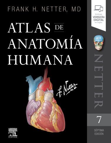 ATLAS DE ANATOMÍA HUMANA (7ª ED.) | 9788491134688 | NETTER, FRANK H. | Llibreria L'Illa - Llibreria Online de Mollet - Comprar llibres online