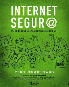 INTERNET SEGURO | 9788441541320 | FERNÁNDEZ FERNÁNDEZ, JOSÉ ÁNGEL | Llibreria L'Illa - Llibreria Online de Mollet - Comprar llibres online