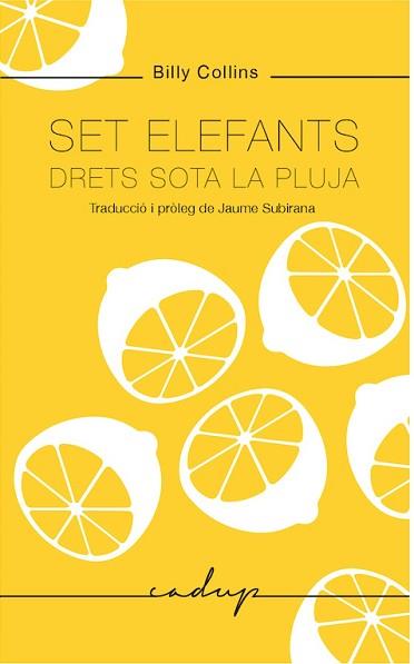 SET ELEFANTS DRETS SOTA LA PLUJA | 9788494943218 | COLLINS, BILLY | Llibreria L'Illa - Llibreria Online de Mollet - Comprar llibres online