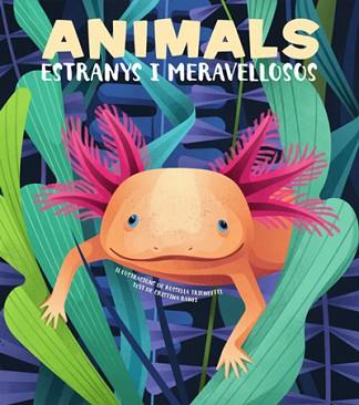 ANIMALS EXTRANYS I MERAVELLOSOS (VVKIDS) | 9788468270685 | BANFI, CRISTINA | Llibreria L'Illa - Llibreria Online de Mollet - Comprar llibres online