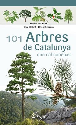 101 ARBRES DE CATALUNYA | 9788490346778 | LLOBET FRANÇOIS, TONI/CARRERA BONET, DAVID | Llibreria L'Illa - Llibreria Online de Mollet - Comprar llibres online