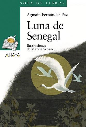 LUNA DE SENEGAL | 9788466784306 | FERNANDEZ PAZ, AGUSTIN | Llibreria L'Illa - Llibreria Online de Mollet - Comprar llibres online