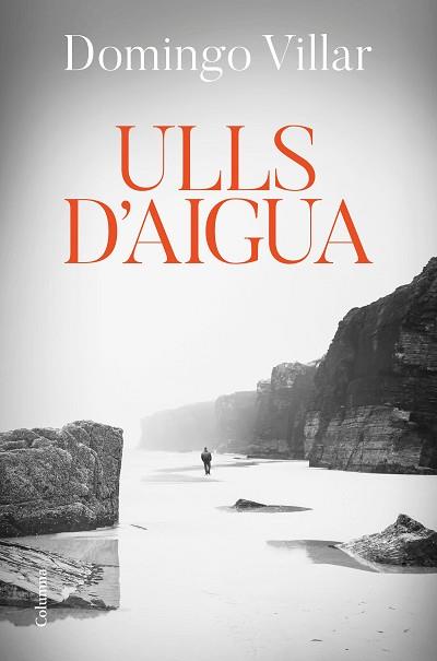 ULLS D'AIGUA | 9788466426312 | VILLAR, DOMINGO | Llibreria L'Illa - Llibreria Online de Mollet - Comprar llibres online