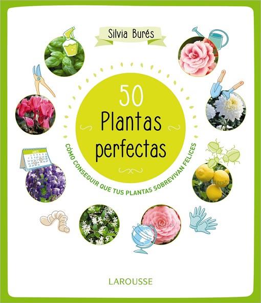 50 PLANTAS PERFECTAS | 9788415785897 | BURÉS, SILVIA | Llibreria L'Illa - Llibreria Online de Mollet - Comprar llibres online