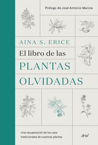 LIBRO DE LAS PLANTAS OLVIDADAS, EL | 9788434431461 | S. ERICE, AINA