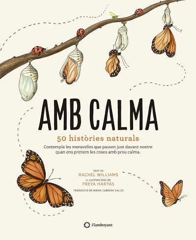 AMB CALMA | 9788417749583 | WILLIAMS, RACHEL | Llibreria L'Illa - Llibreria Online de Mollet - Comprar llibres online
